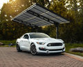 Carport Sydney 286 x 586,5 cm Svart Canopia by Palram